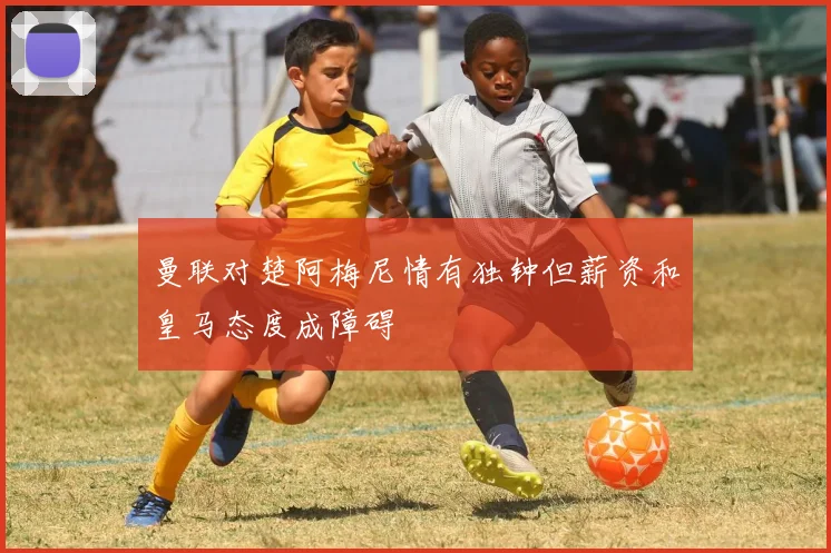曼联对楚阿梅尼情有独钟但薪资和皇马态度成障碍